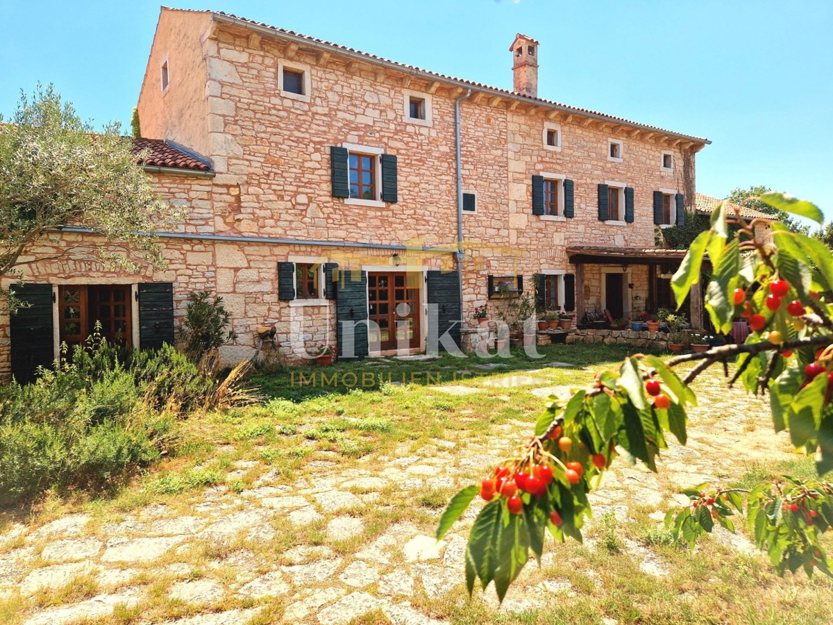 Autentica proprietà con casa in pietra e ampio terreno